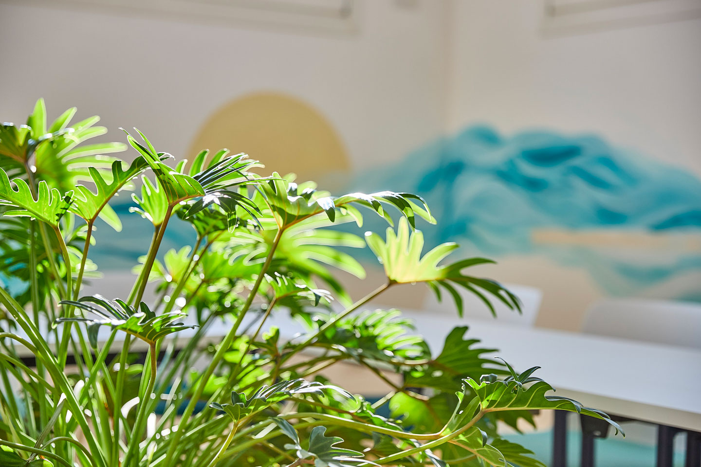 Flow X Hub - Sala Maldive dettaglio